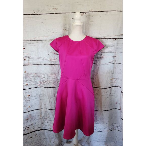 Ted Baker Eebrr Skater Dress Size 10 - Picture 2 of 8